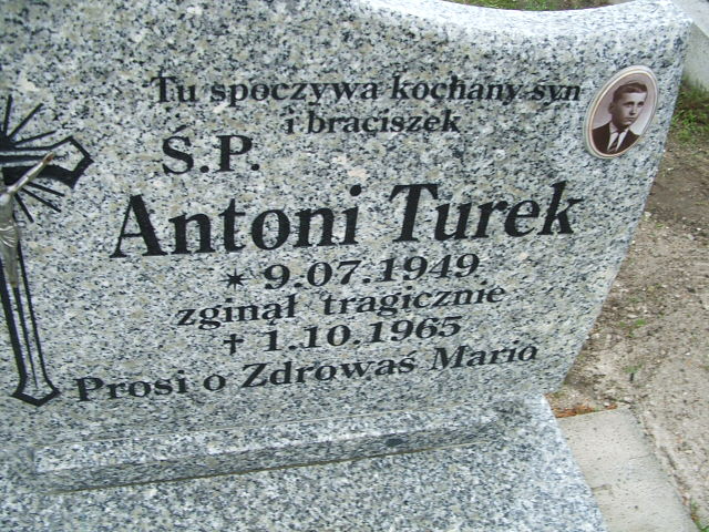 Antoni Turek 1949 Osiecznica - Grobonet - Wyszukiwarka osób pochowanych