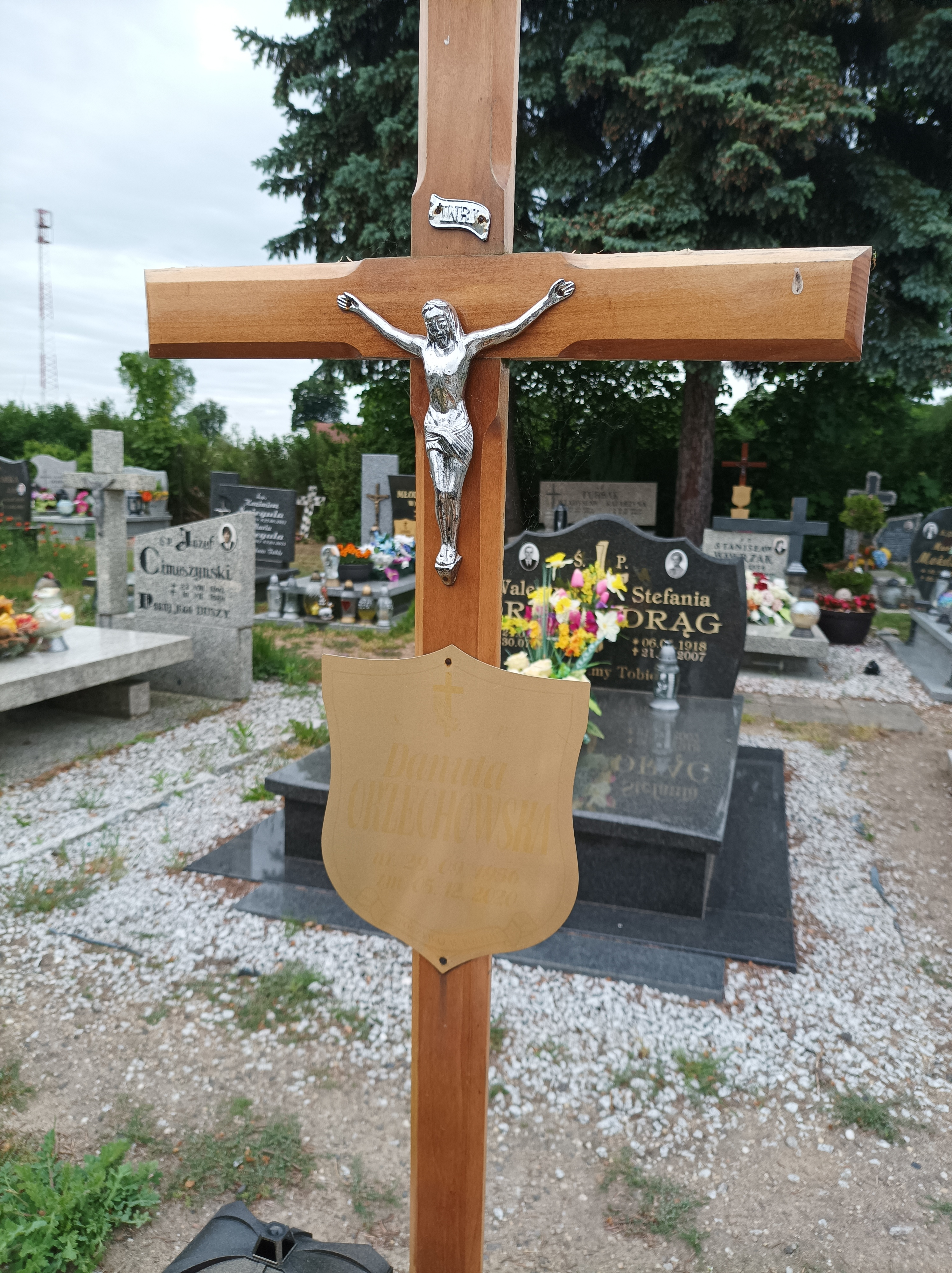 Danuta Orzechowska 1956 Osiecznica - Grobonet - Wyszukiwarka osób pochowanych