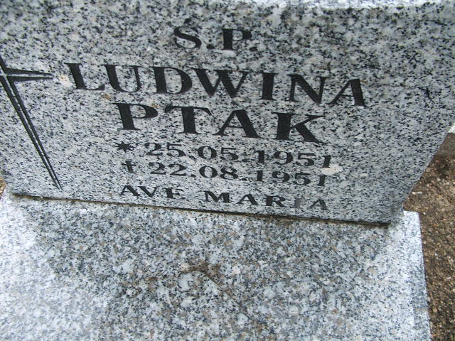 Ludwina Ptak 1951 Osiecznica - Grobonet - Wyszukiwarka osób pochowanych